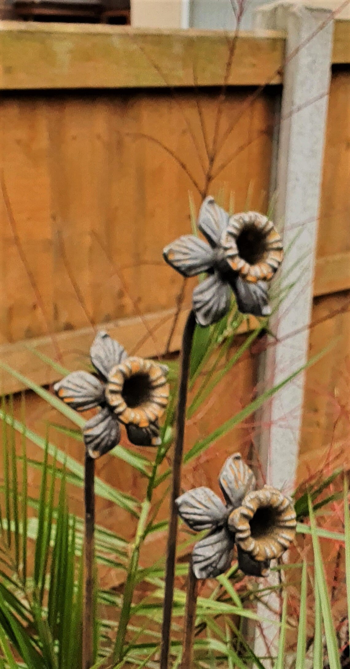 Extra Tall Rusty Daffodil Plant Supports