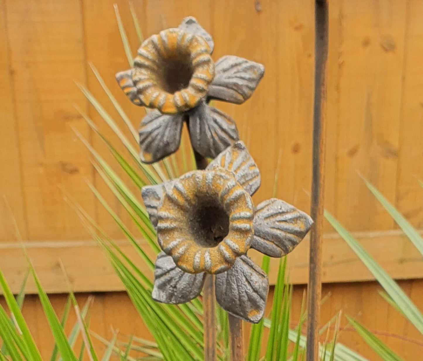 Extra Tall Rusty Daffodil Plant Supports