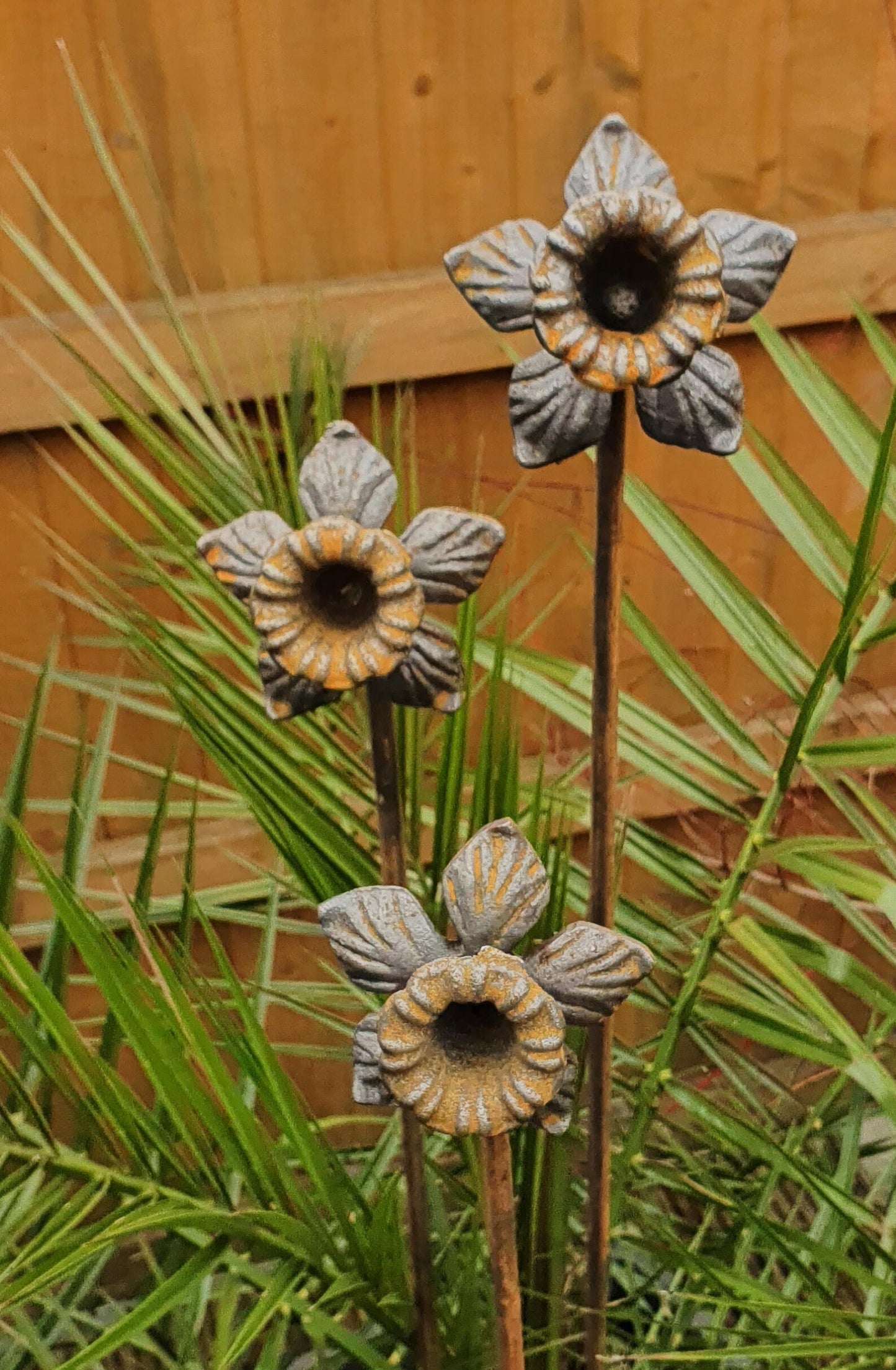 Extra Tall Rusty Daffodil Plant Supports