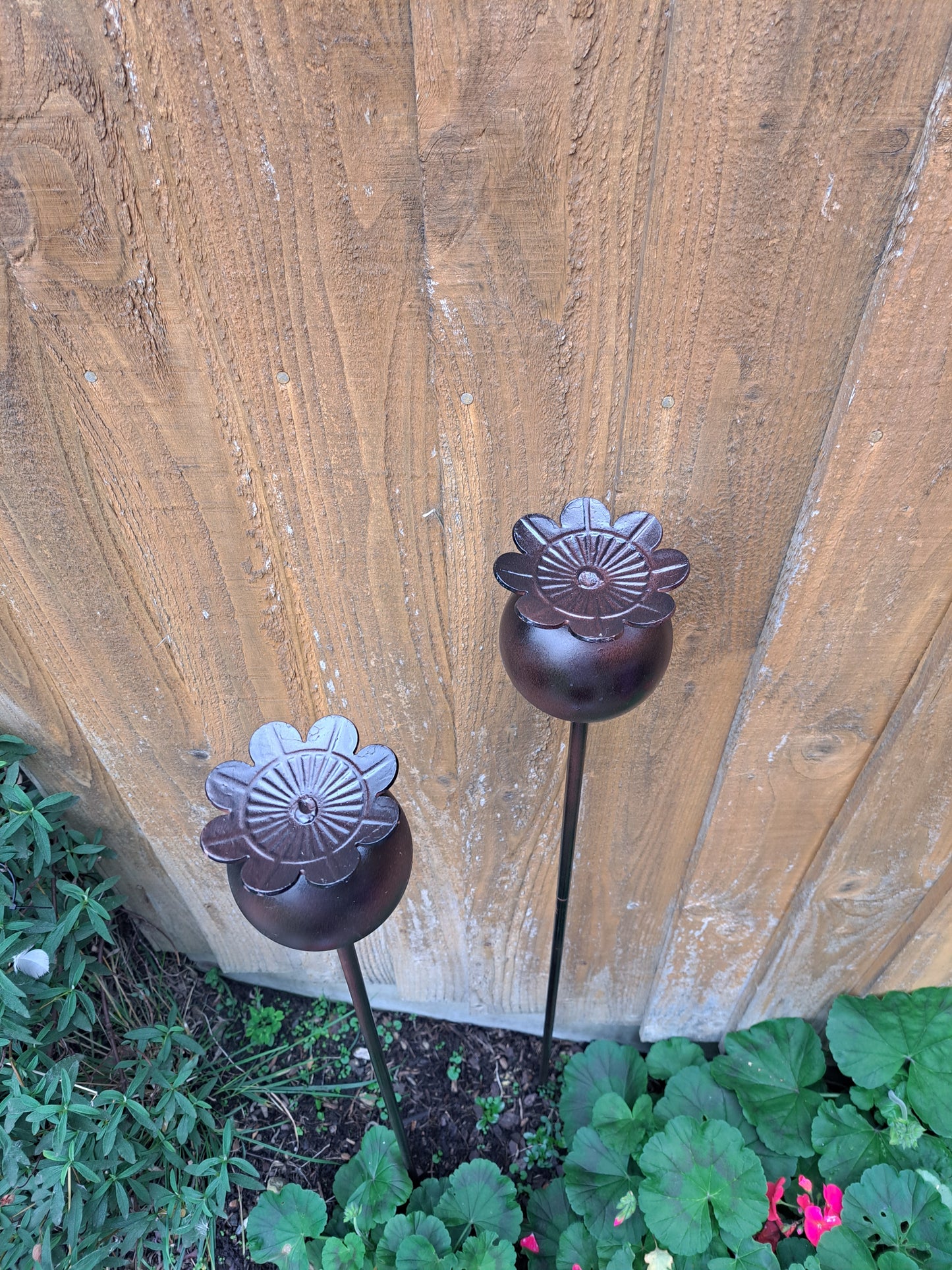 Giant painted poppy head plant stake. Garden Decoration