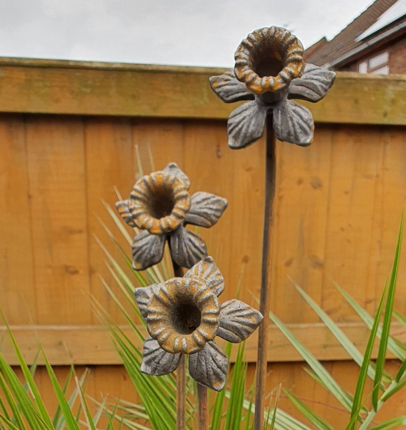Extra Tall Rusty Daffodil Plant Supports