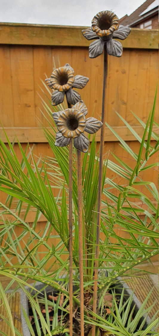 Extra Tall Rusty Daffodil Plant Supports