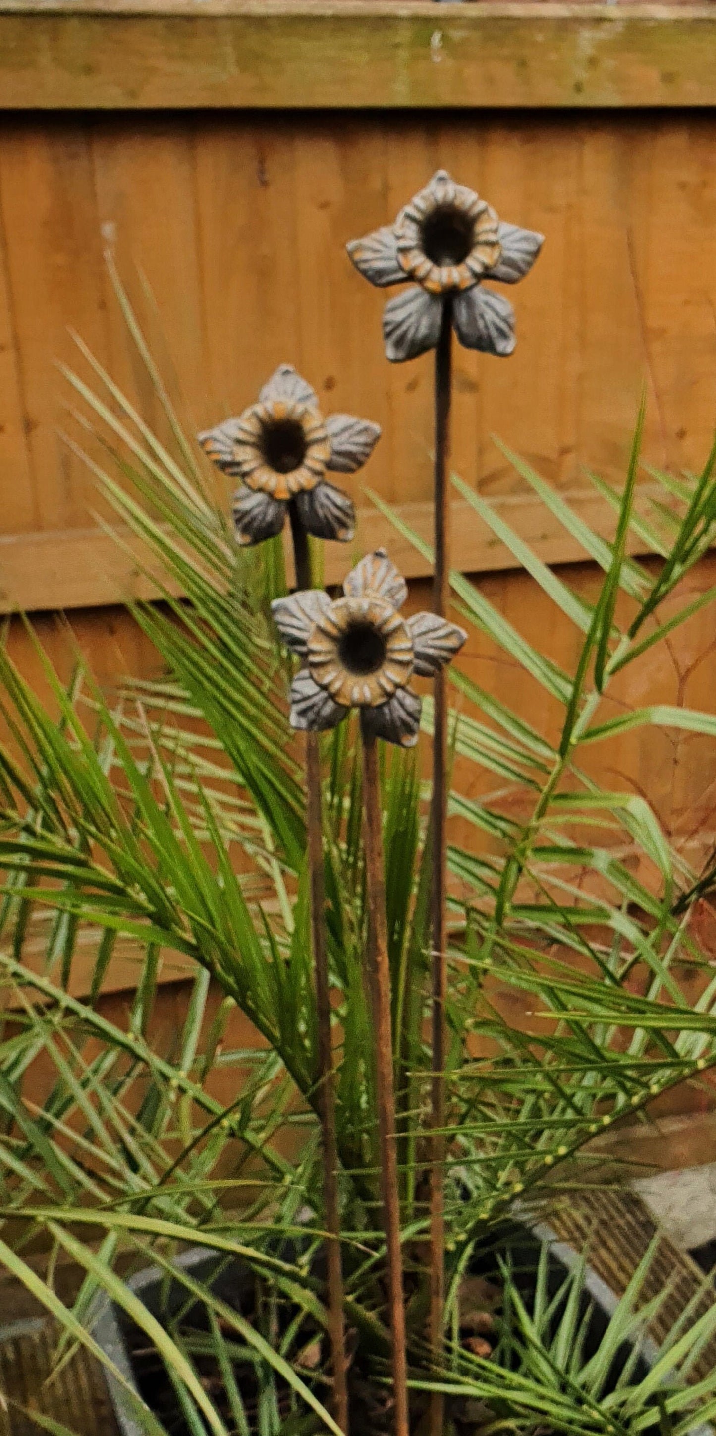 Extra Tall Rusty Daffodil Plant Supports